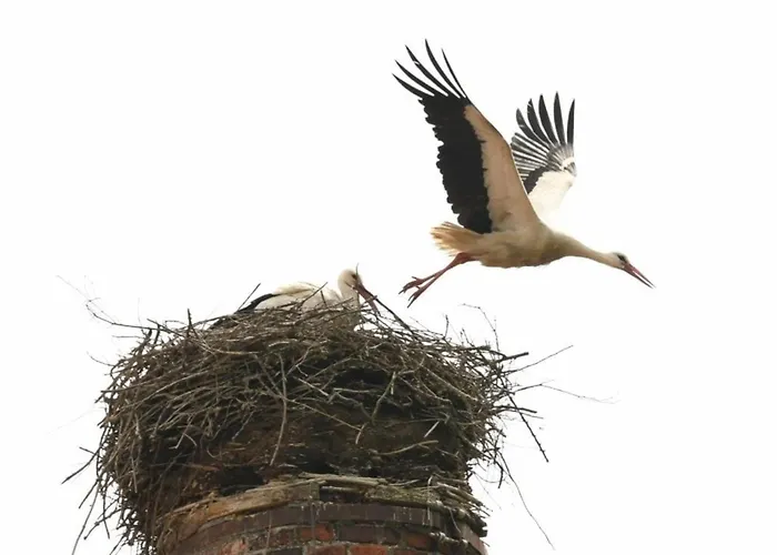 Lägenhet Am Storchennest Grube